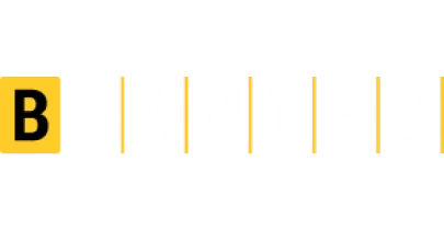 partners who work with megadice