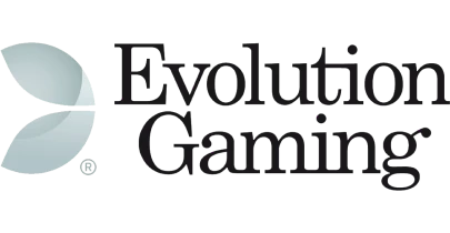 partners who work with megadice