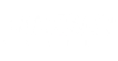 partners who work with megadice