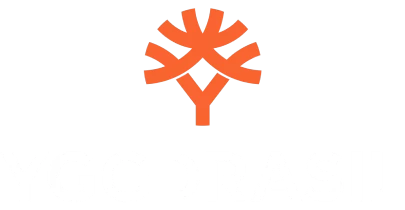 partners who work with megadice